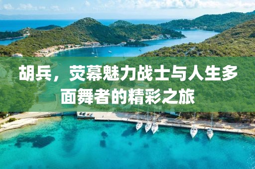 胡兵，熒幕魅力戰(zhàn)士與人生多面舞者的精彩之旅