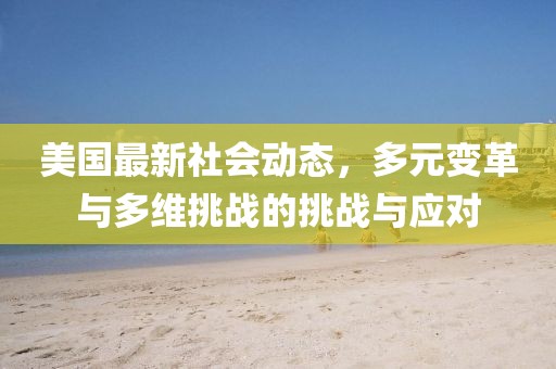 美國最新社會動態(tài)，多元變革與多維挑戰(zhàn)的挑戰(zhàn)與應(yīng)對
