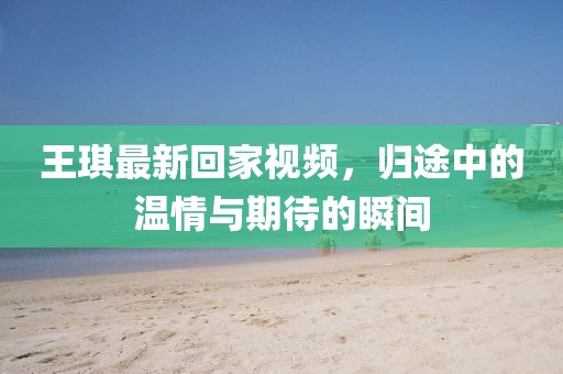 王琪最新回家視頻，歸途中的溫情與期待的瞬間