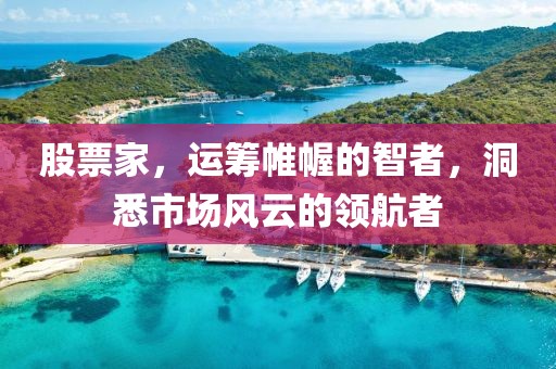 股票家,運(yùn)籌帷幄的智者,洞悉市場風(fēng)云的領(lǐng)航者