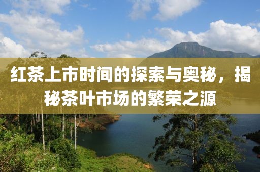 紅茶上市時間的探索與奧秘,揭秘茶葉市場的繁榮之源