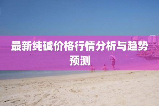 最新純堿價格行情分析與趨勢預(yù)測