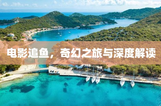 電影追魚，奇幻之旅與深度解讀