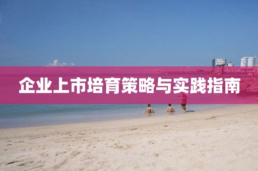 企業(yè)上市培育策略與實踐指南