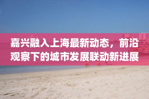 嘉興融入上海最新動(dòng)態(tài),前沿觀察下的城市發(fā)展聯(lián)動(dòng)新進(jìn)展