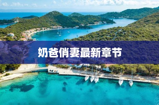 奶爸俏妻最新章節(jié)