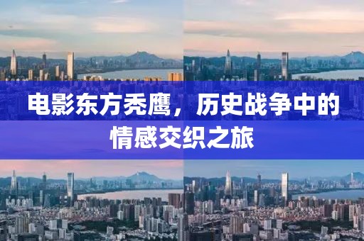 電影東方禿鷹，歷史戰(zhàn)爭中的情感交織之旅