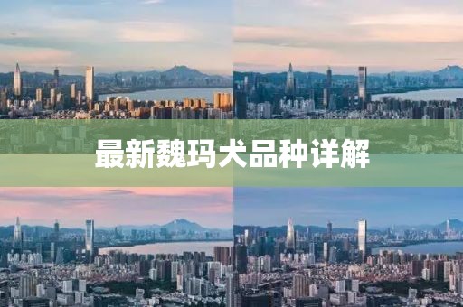 最新魏瑪犬品種詳解