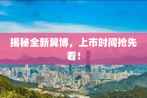 揭秘全新翼博,上市時間搶先看!