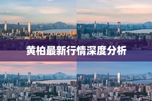 黃柏最新行情深度分析