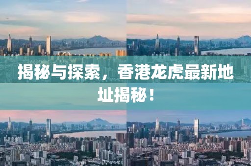 揭秘與探索，香港龍虎最新地址揭秘！