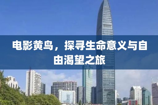 電影黃鳥(niǎo),探尋生命意義與自由渴望之旅