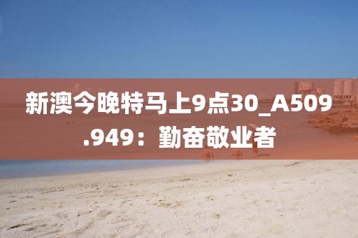 新澳今晚特馬上9點30_A509.949：勤奮敬業(yè)者