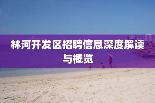 林河開發(fā)區(qū)招聘信息深度解讀與概覽