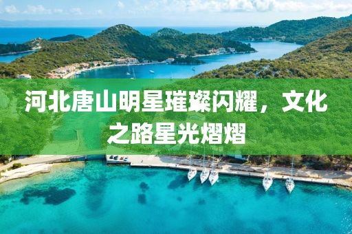 河北唐山明星璀璨閃耀，文化之路星光熠熠