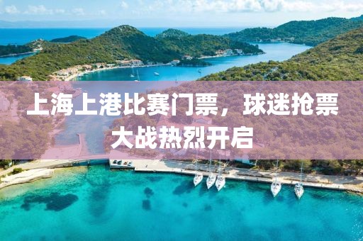 上海上港比賽門票，球迷搶票大戰(zhàn)熱烈開啟