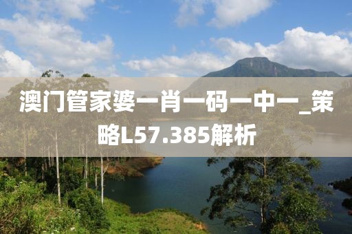澳門管家婆一肖一碼一中一_策略L57.385解析
