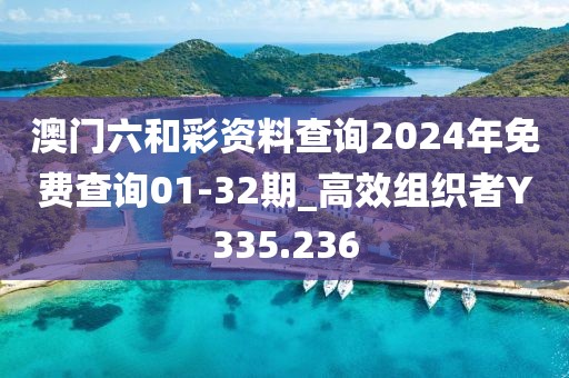 澳門六和彩資料查詢2024年免費(fèi)查詢01-32期_高效組織者Y335.236