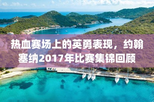 熱血賽場上的英勇表現，約翰塞納2017年比賽集錦回顧