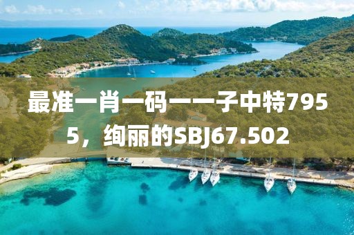 最準(zhǔn)一肖一碼一一子中特7955，絢麗的SBJ67.502