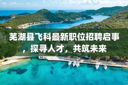 蕪湖縣飛科最新職位招聘啟事，探尋人才，共筑未來