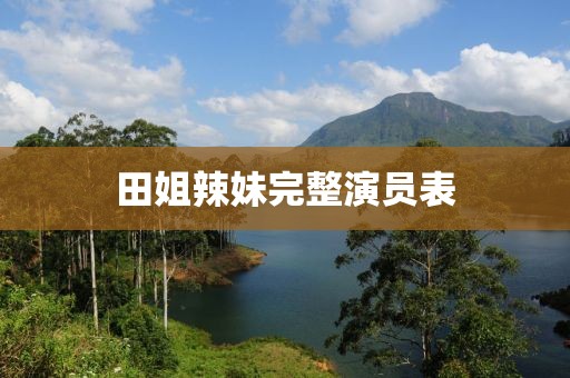 田姐辣妹完整演員表