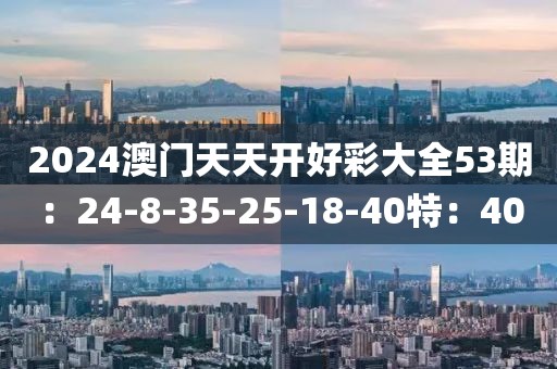 2024澳門天天開好彩大全53期：24-8-35-25-18-40特：40