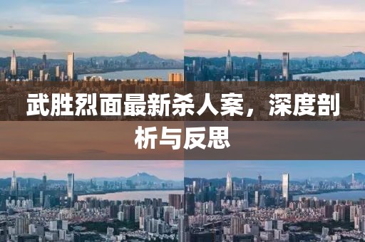 武勝烈面最新殺人案，深度剖析與反思