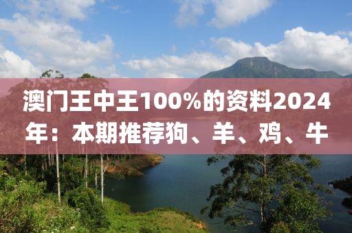 澳門王中王100%的資料2024年：本期推薦狗、羊、雞、牛