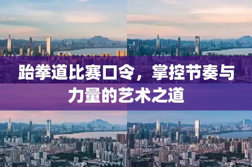 跆拳道比賽口令，掌控節(jié)奏與力量的藝術(shù)之道