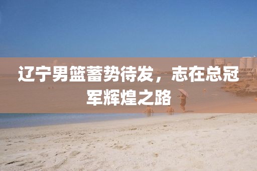 遼寧男籃蓄勢待發(fā)，志在總冠軍輝煌之路