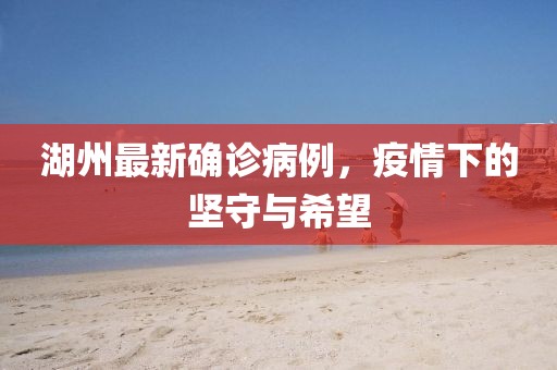 湖州最新確診病例，疫情下的堅守與希望