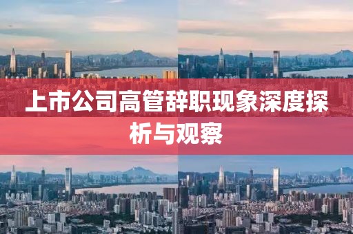 上市公司高管辭職現(xiàn)象深度探析與觀察