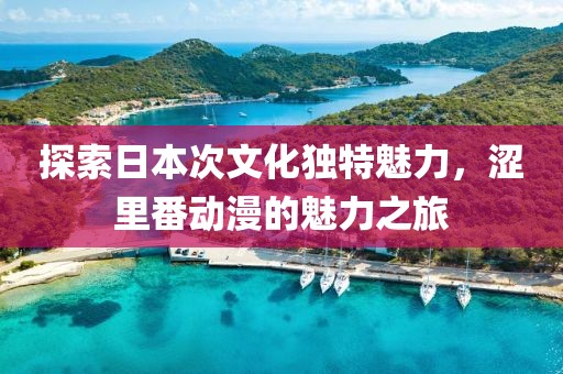 探索日本次文化獨(dú)特魅力，澀里番動(dòng)漫的魅力之旅