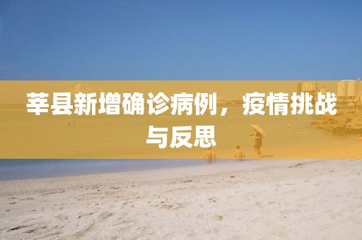 莘縣新增確診病例，疫情挑戰(zhàn)與反思