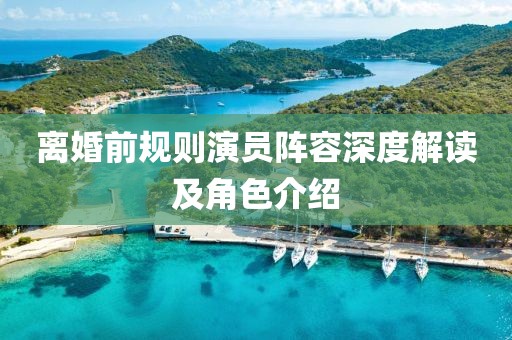 離婚前規(guī)則演員陣容深度解讀及角色介紹