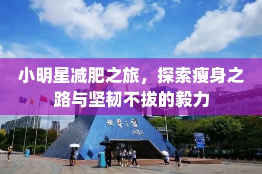 小明星減肥之旅，探索瘦身之路與堅(jiān)韌不拔的毅力