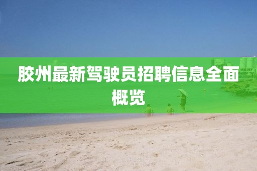 膠州最新駕駛員招聘信息全面概覽