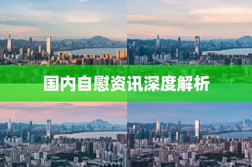 國內(nèi)自慰資訊深度解析