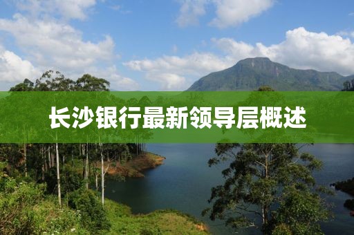 長沙銀行最新領(lǐng)導(dǎo)層概述
