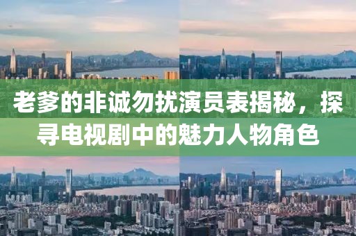 老爹的非誠勿擾演員表揭秘，探尋電視劇中的魅力人物角色