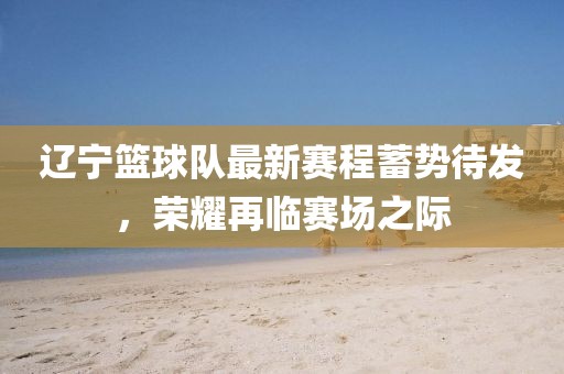 遼寧籃球隊(duì)最新賽程蓄勢待發(fā)，榮耀再臨賽場之際