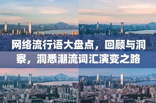 網(wǎng)絡(luò)流行語(yǔ)大盤(pán)點(diǎn)，回顧與洞察，洞悉潮流詞匯演變之路