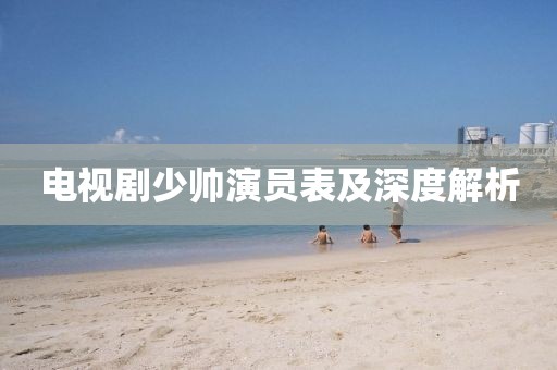 電視劇少帥演員表及深度解析