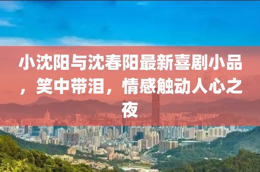 小沈陽與沈春陽最新喜劇小品，笑中帶淚，情感觸動人心之夜