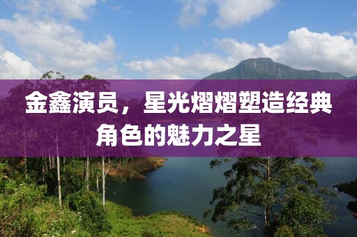 金鑫演員，星光熠熠塑造經典角色的魅力之星