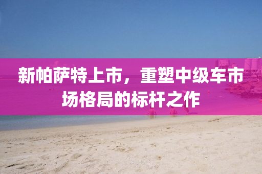 新帕薩特上市,重塑中級(jí)車市場格局的標(biāo)桿之作