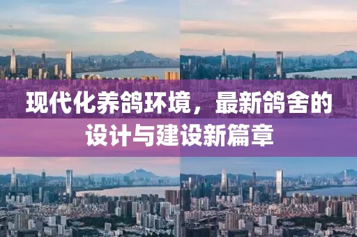 現(xiàn)代化養(yǎng)鴿環(huán)境,最新鴿舍的設(shè)計(jì)與建設(shè)新篇章