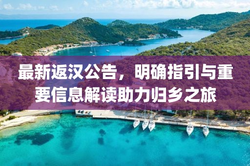 最新返漢公告,明確指引與重要信息解讀助力歸鄉(xiāng)之旅