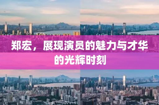 鄭宏,展現(xiàn)演員的魅力與才華的光輝時刻